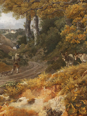 image-wide-2-1